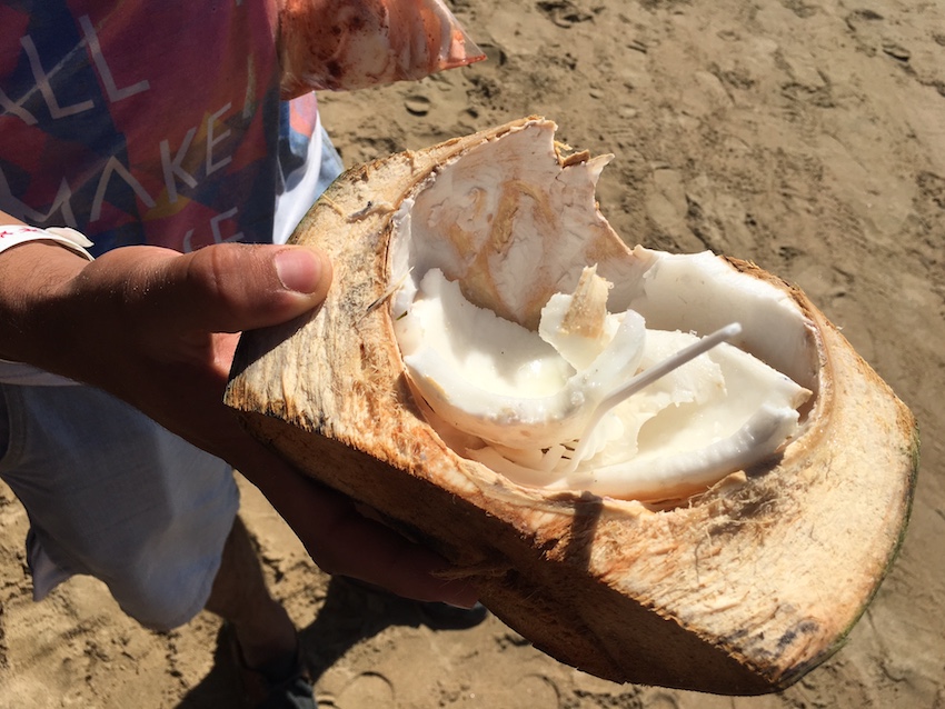 fresh coconut on the beach in Mexico