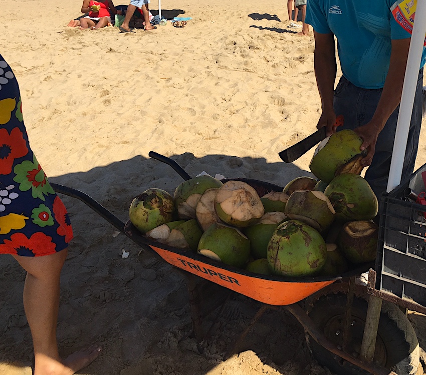 fresh coconut2