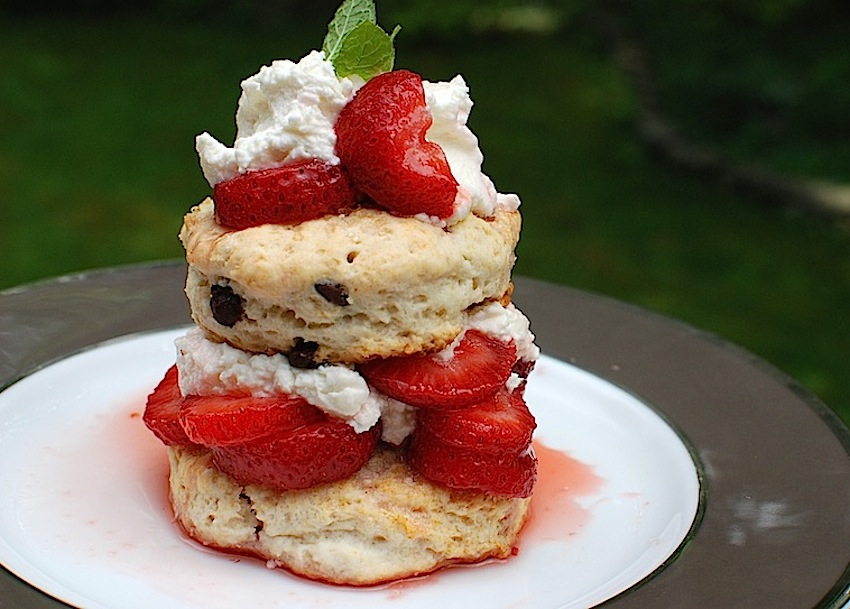 Chocolate Chip Strawberry Shortcake