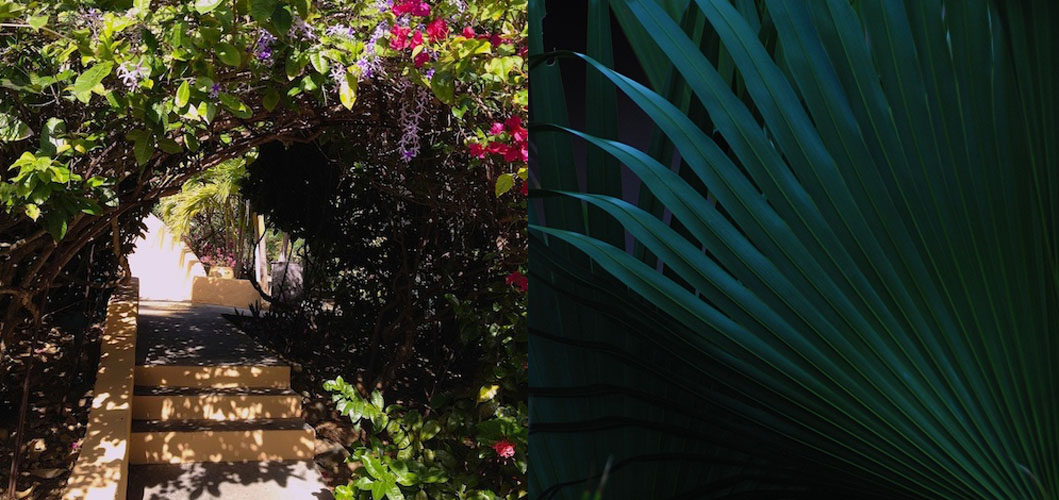 Enter the Fabulous World of Frenchmans BVI