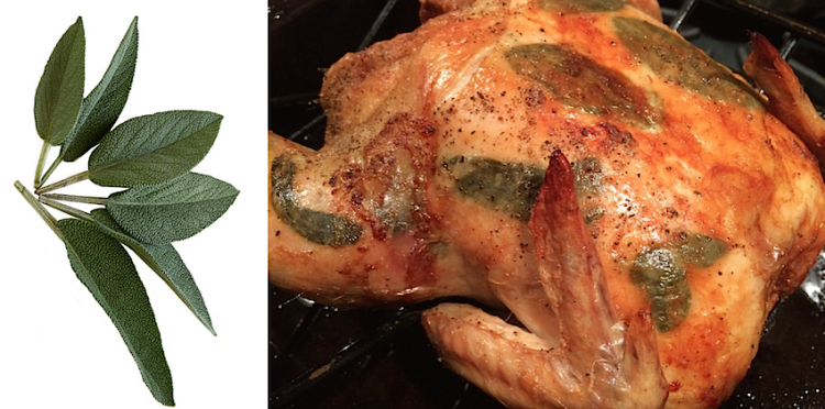 Juicy Butter Roasted Sage Chicken