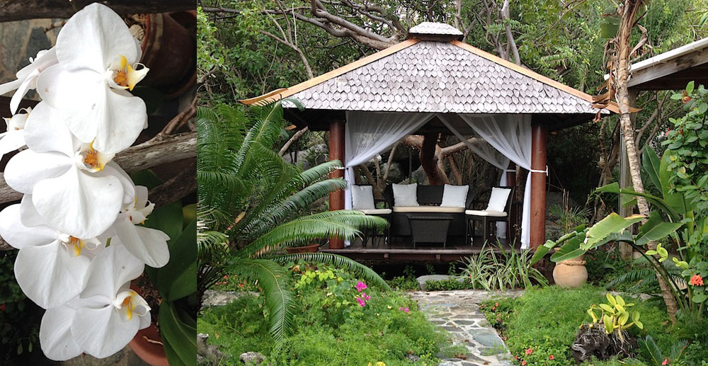 Experience the Splendor of Surfsong BVI